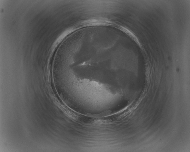 X0000078291419200611031220