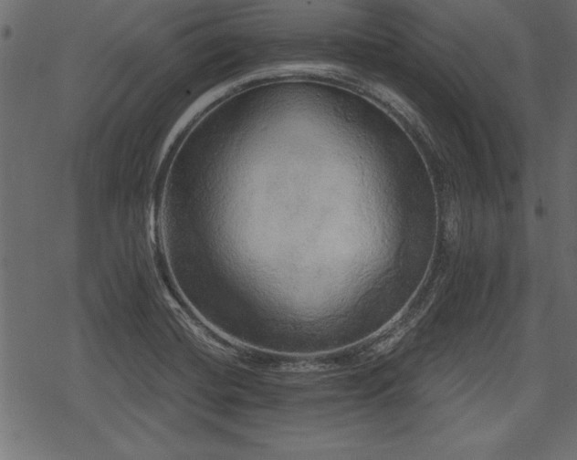 X0000078291420200611031220