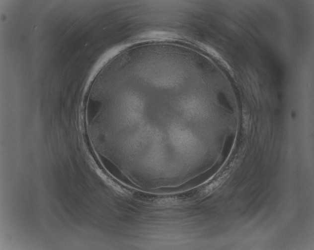 X0000078291421200611031220