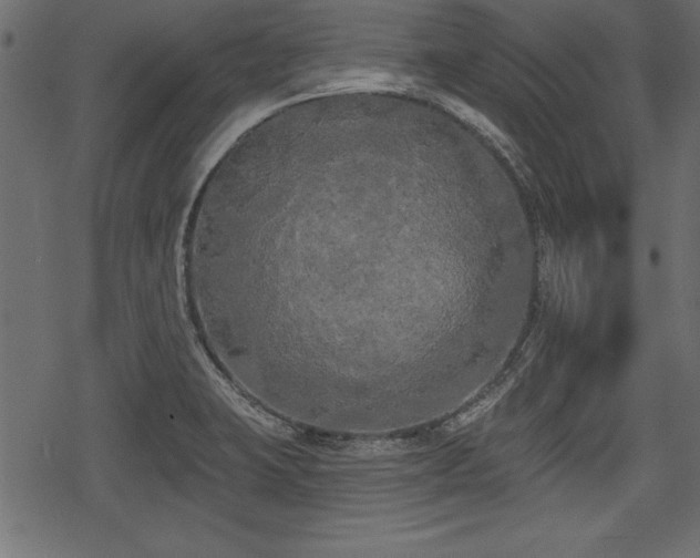 X0000078291423200611031220