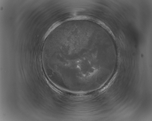 X0000078291425200611031220