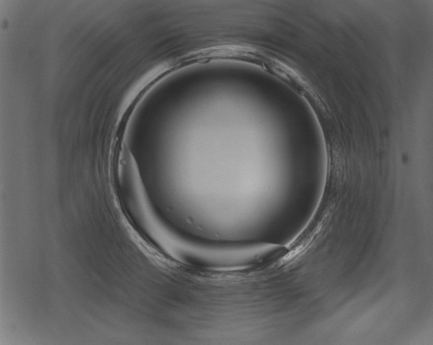 X0000078291426200611031220