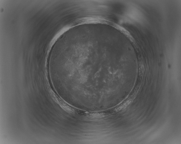 X0000078291427200611031220