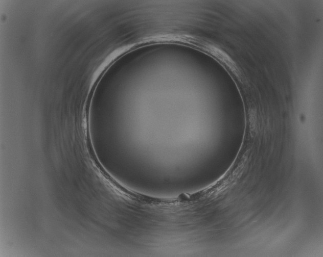 X0000078291428200611031220