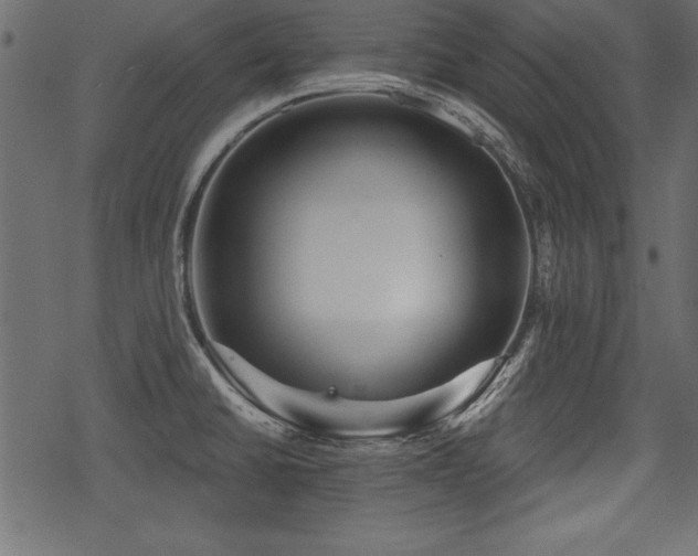 X0000078291430200611031220