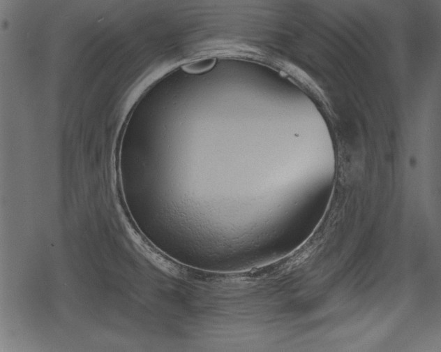 X0000078291431200611031220