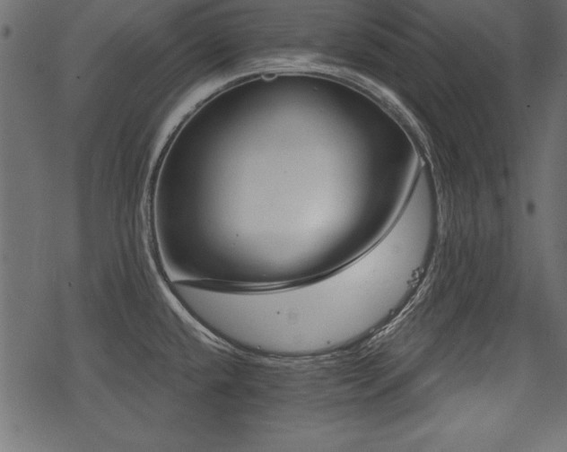 X0000078291432200611031220