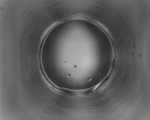 X0000078291434200611031220