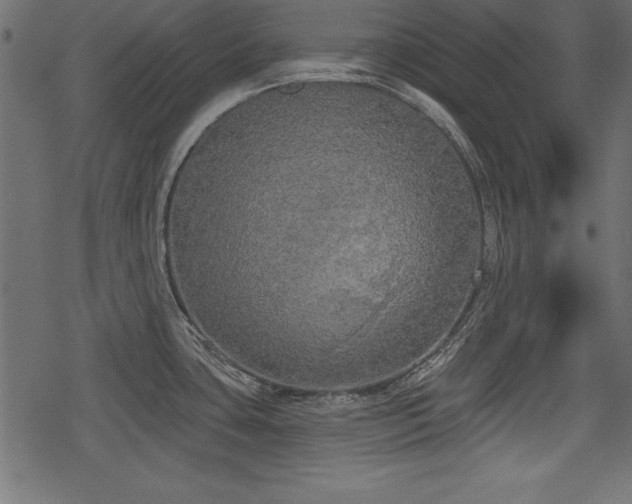 X0000078291435200611031220