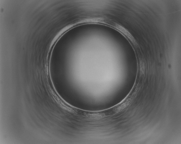 X0000078291436200611031220