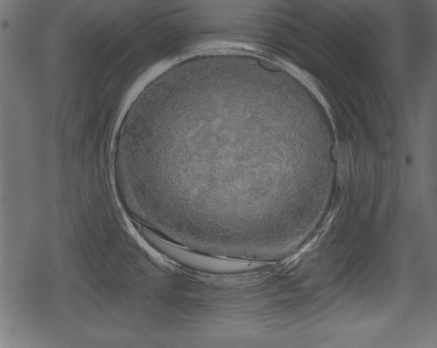 X0000078291437200611031220