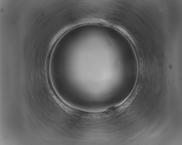 X0000078291438200611031220