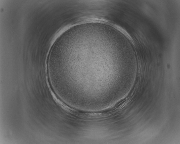 X0000078291439200611031220