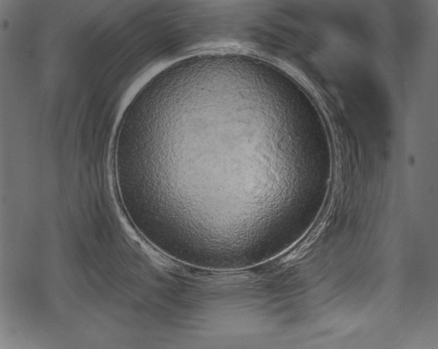 X0000078291440200611031220