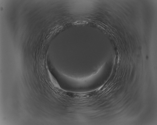 X0000078291441200611031220