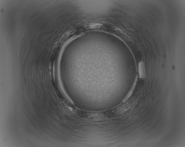 X0000078291443200611031220