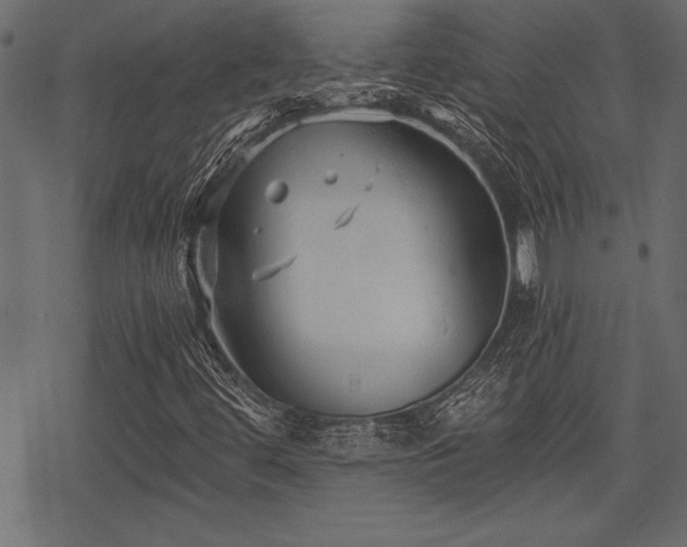 X0000078291444200611031220