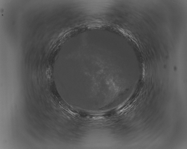 X0000078291445200611031220