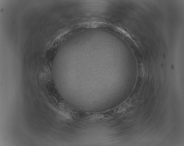 X0000078291446200611031220