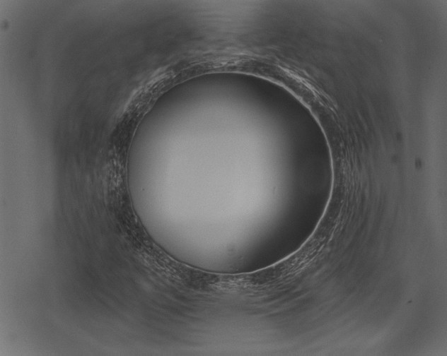 X0000078291447200611031220