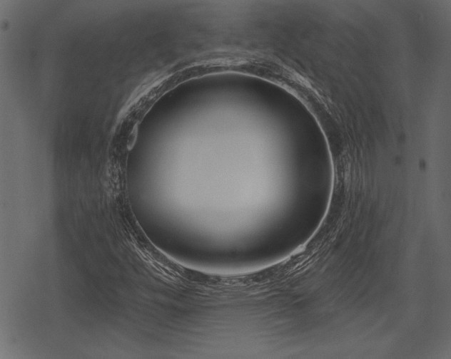 X0000078291448200611031220