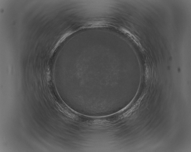 X0000078291449200611031220