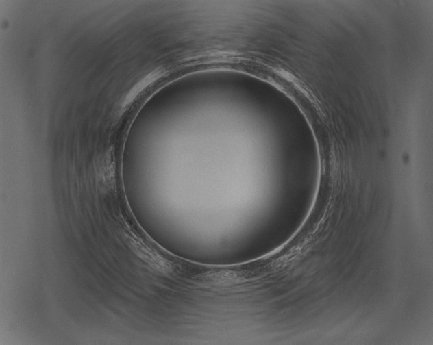 X0000078291450200611031220