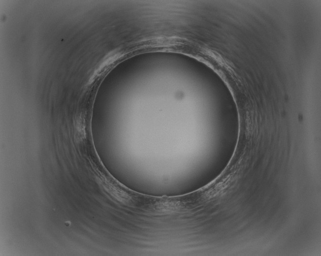 X0000078291451200611031219