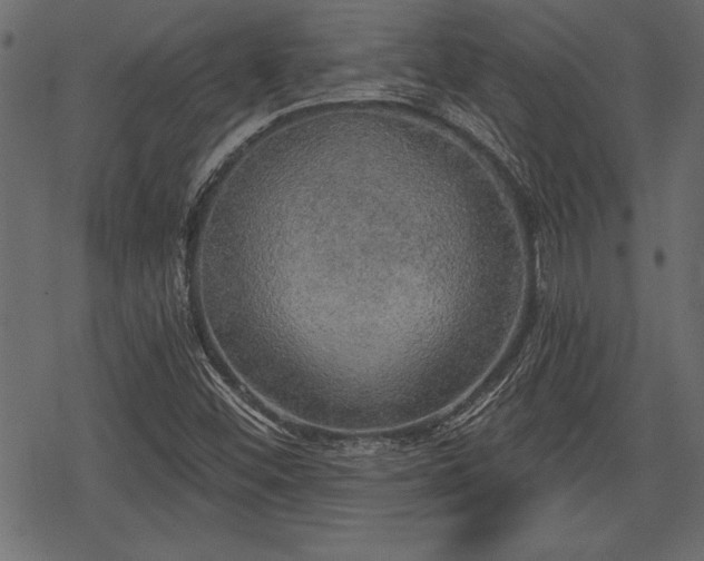 X0000078291452200611031219