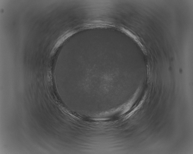 X0000078291453200611031219