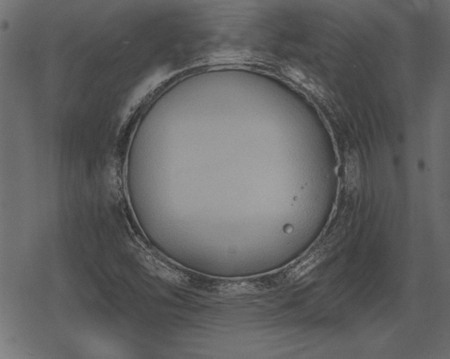 X0000078291454200611031219