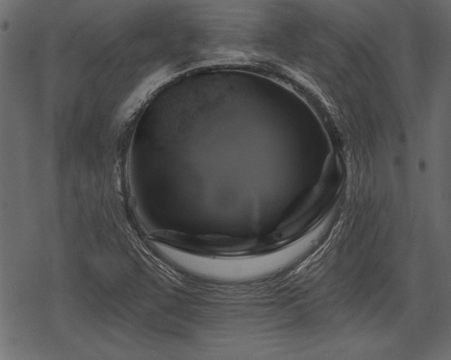 X0000078291455200611031219