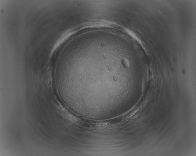 X0000078291456200611031219