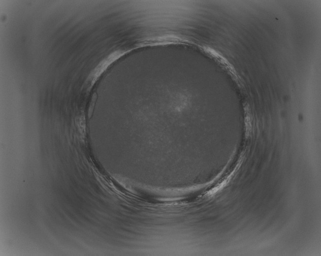 X0000078291457200611031219