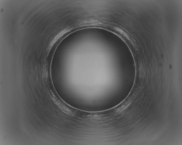 X0000078291458200611031219