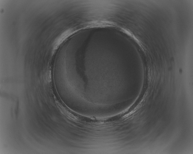 X0000078291459200611031219