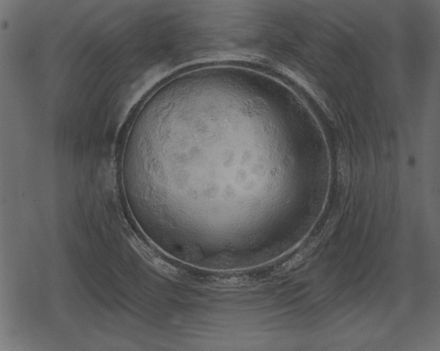 X0000078291460200611031219