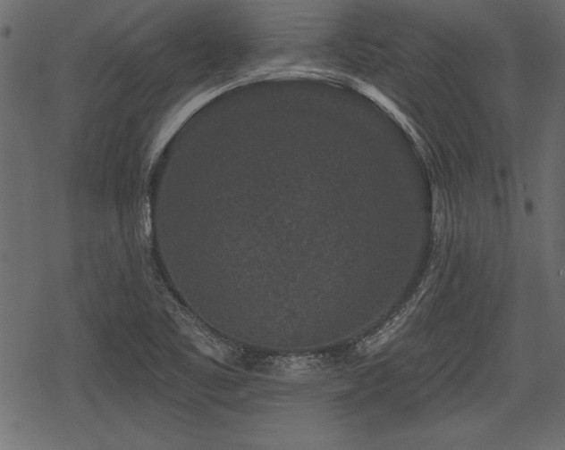 X0000078291461200611031219