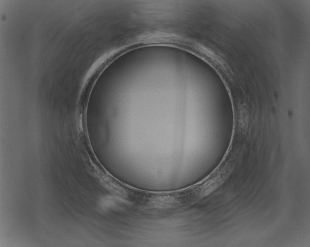 X0000078291462200611031219