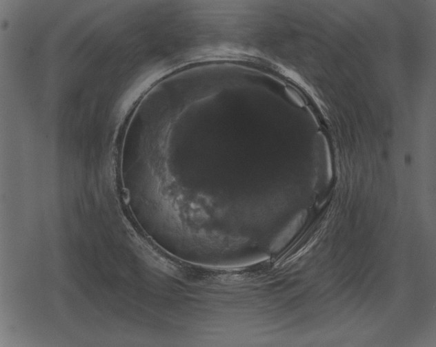 X0000078291463200611031219