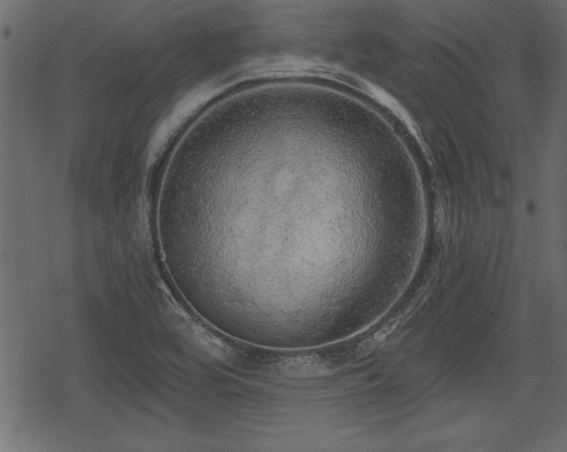 X0000078291464200611031219