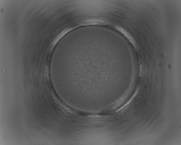 X0000078291465200611031219