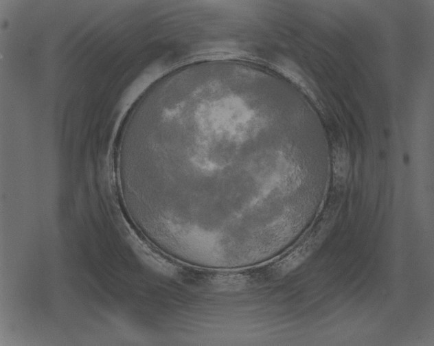 X0000078291466200611031219