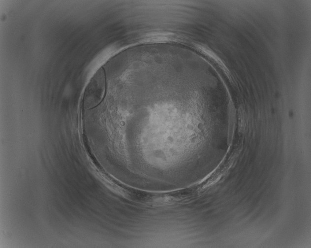 X0000078291467200611031219