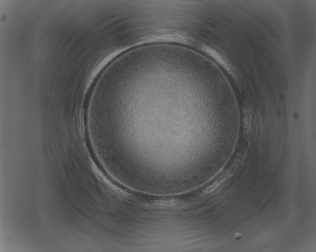 X0000078291468200611031219