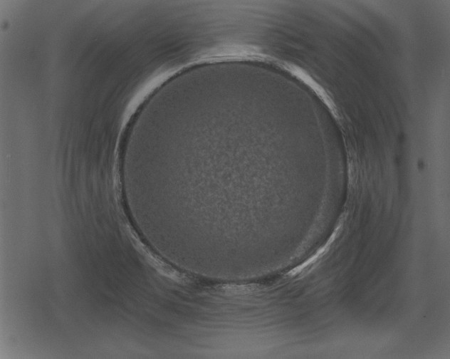 X0000078291469200611031219