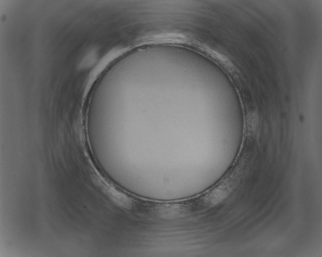 X0000078291470200611031219