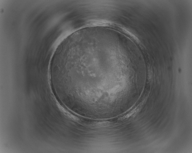 X0000078291471200611031219