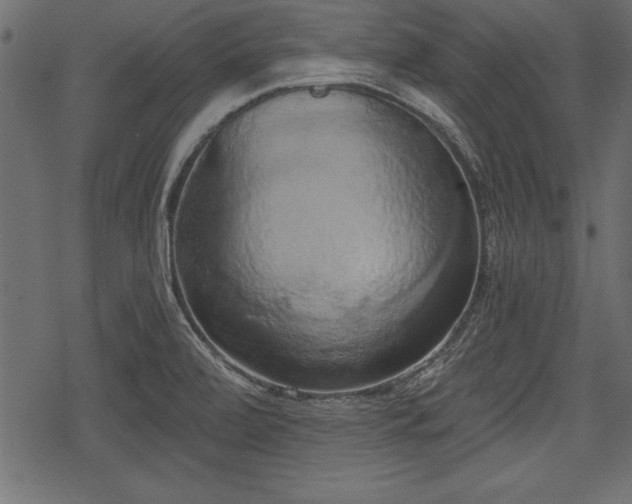 X0000078291472200611031219