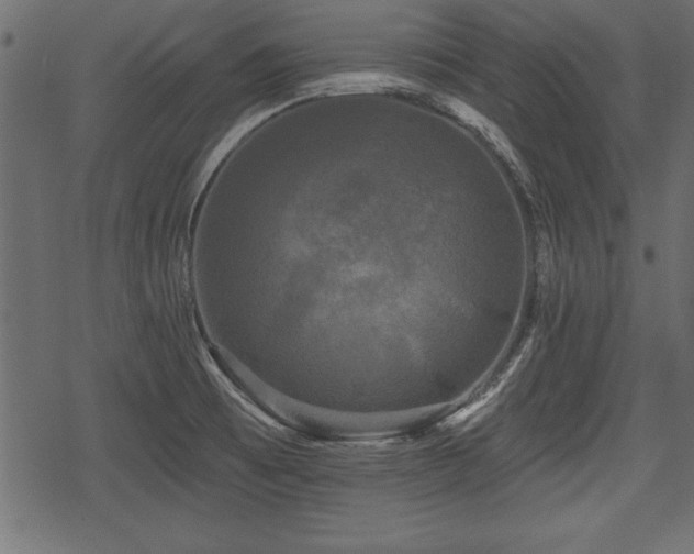 X0000078291473200611031219